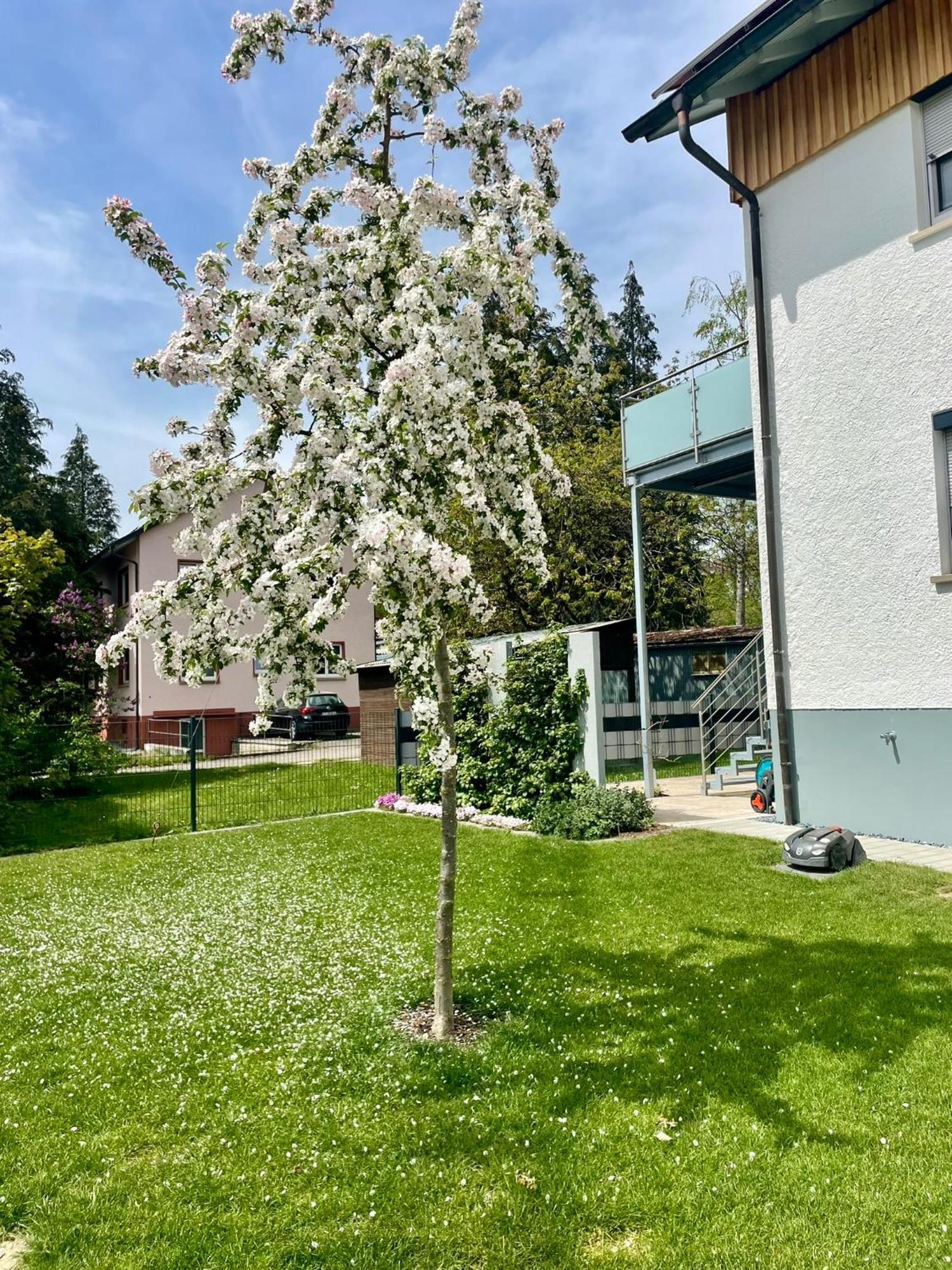 Anitas Ferienwohnung Мескирх Екстериор снимка